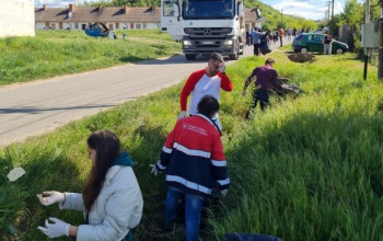 Újabb városrészt tisztítottak meg az önkéntesek