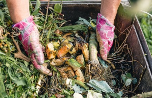 Elrajtolt a like-vadászat! Ajándékutalványt nyerhetnek a komposztáló kaposváriak!