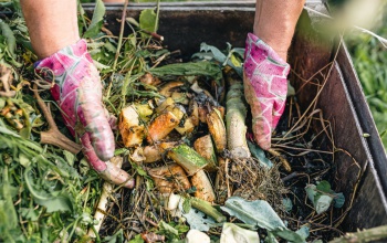 Elrajtolt a like-vadászat! Ajándékutalványt nyerhetnek a komposztáló kaposváriak!