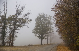 A gyenge hidegfront után ködös idő várható a következő napokban