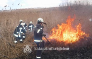 Több méteres lángok a somi nádasban
