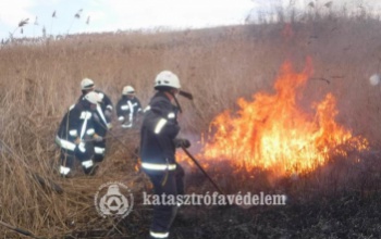 Több méteres lángok a somi nádasban