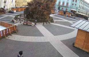 Videón a kaposvári karácsonyfa kidőlése
