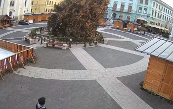 Videón a kaposvári karácsonyfa kidőlése