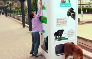 Etessen éhező kóbor állatokat szelektív hulladékgyűjtéssel