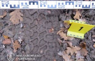 Illegálisan vadászott és vadakat lopott két férfi