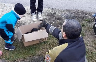 Kiskutyákat mentettek a KÖTÉL önkéntesei