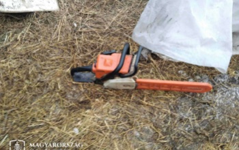 Születésnapja alkalmából elmentek lopni