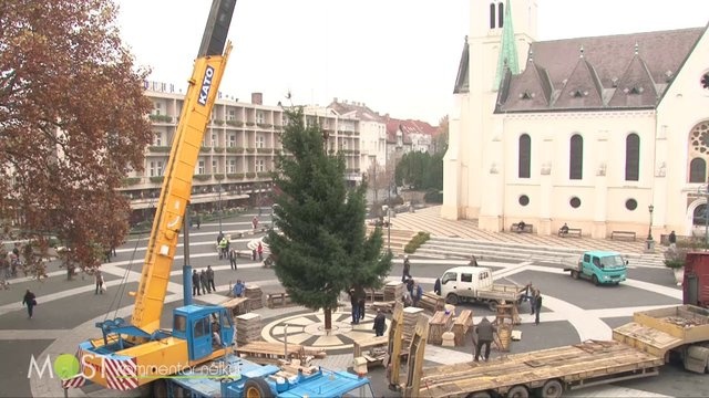 Így született Kaposvár karácsonyfája