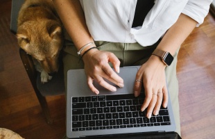 Üzleti ötletek, amelyeket online is űzhetsz. Tedd ezt egyéni vállalkozóként!