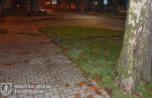 Ittas kerékpáros okozott súlyos kimenetelű balesetet