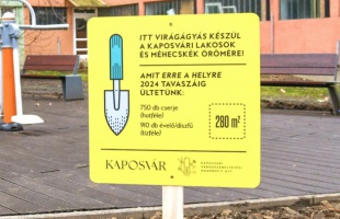 Közel 50 ezer virágot ültetnek Kaposváron