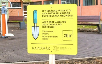 Közel 50 ezer virágot ültetnek Kaposváron
