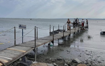Szörnyű tragédia: a Balatonba fulladt egy két és fél éves kislány szombaton