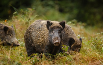 Az agrárkamara határozottan kiáll a gazdálkodók érdekeiért