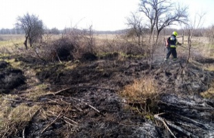 15 szabadtéri tűzesethez riasztották a somogyi tűzoltókat a hétvégén