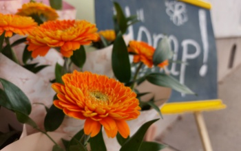 Témánál vagyunk: Virág, csoki, ékszer – Ti minek örülnétek a legjobban nőnapon?