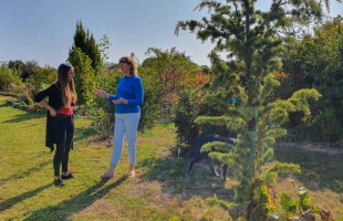 Megálmodni és megcsinálni: csodálatos arborétum tárul elénk Kaposfüreden