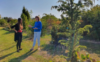 Megálmodni és megcsinálni: csodálatos arborétum tárul elénk Kaposfüreden