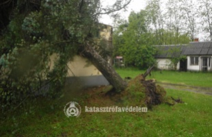 Nem kímélte a fákat és a villanyoszlopokat sem a vasárnapi vihar