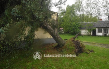 Nem kímélte a fákat és a villanyoszlopokat sem a vasárnapi vihar