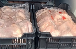 Több mint két tonna romlott húst találtak egy kisteherautóban