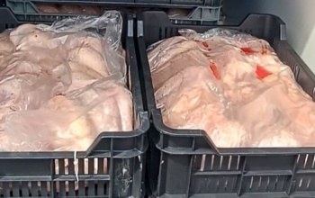 Több mint két tonna romlott húst találtak egy kisteherautóban
