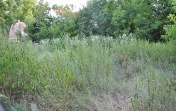 Az allergiásoknak télen is lehetnek tüneteik