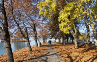 Ősszel is zajlik az élet Siófokon
