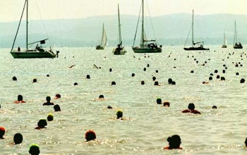 Balaton-átúszás: elhalasztva!