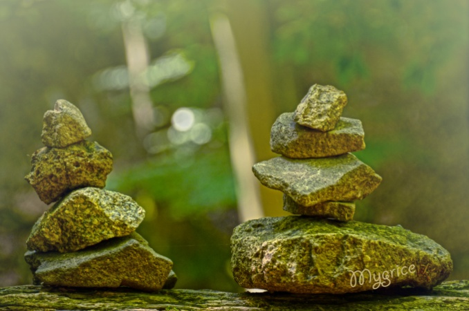 Tudatosság kontra ösztönök