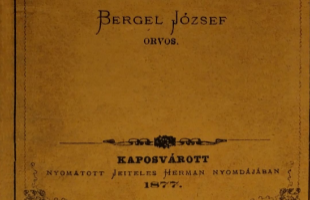 Kaposvár 40 év óta - könyvbemutató