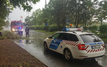 Villám csapott egy fába a Berzsenyi utcában, ami aztán az útra dőlt