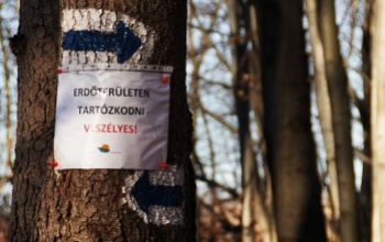 Erdőlátogatási tilalom a Sefag vadászterületein