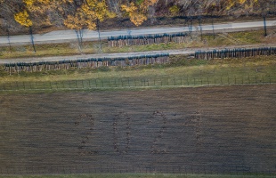 Emlékerdő írja a zselici tájba a 2021-es évet
