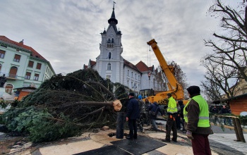 Megérkezett a daru, amellyel újra felállítják Kaposvár karácsonyfáját