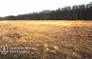 Engedély nélkül vágatta ki az erdejét, hogy mezőgazdasági növényeket tudjon termeszteni