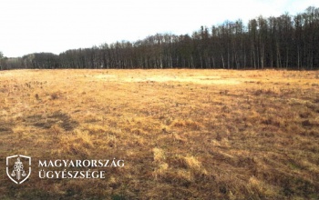 Engedély nélkül vágatta ki az erdejét, hogy mezőgazdasági növényeket tudjon termeszteni