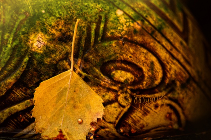 Változzunk, mert változunk