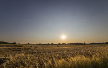 Az érkező esőnél többre lenne szükségük az őszi kalászosoknak