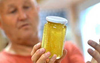 Húsz tonna hamisított mézet vont ki a forgalomból a Nébih