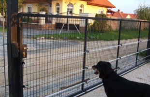 Láthatatlan vagy látható villanypásztor kutyatartáshoz?
