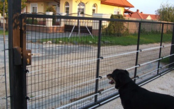 Láthatatlan vagy látható villanypásztor kutyatartáshoz?