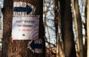Erdőlátogatási tilalom a Kaposvári Erdészetnél