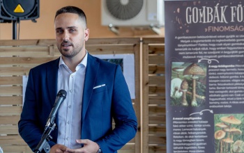 „Gombák földjén” címmel nyílt kiállítás a Kaposvári Nagypiacon