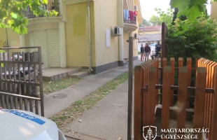 Gyorsított eljárásban felfüggesztett börtönbüntetésre ítélték a siófoki szarkát, majd néhány óra múlva megint őrizetbe vették