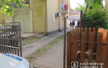 Gyorsított eljárásban felfüggesztett börtönbüntetésre ítélték a siófoki szarkát, majd néhány óra múlva megint őrizetbe vették