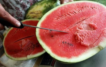 Folyamatos áremelkedés várható: ezért lesz egyre drágább a magyar dinnye