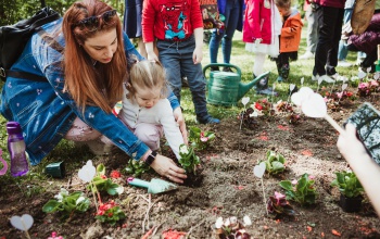 Ismét anyák napi virágültetés lesz Kaposváron