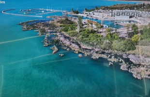 Szokatlan nádpusztulás a Balaton több pontján: „180 fokos társadalmi szemléletváltás kell”